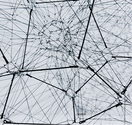 Bild eines Glasdachs mit Spinnennetz ähnlichen Streben, die das Dach stützen.